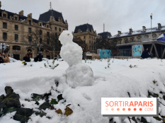 La Neige à Paris - fotor 1767798927974