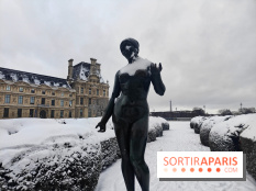 La Neige à Paris - Jardin des Tuileries