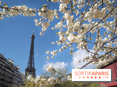 Visuel Paris, Tour Eiffel printemps