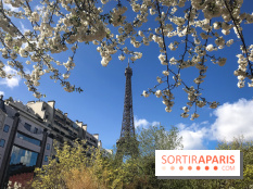 Visuel Paris, Tour Eiffel printemps