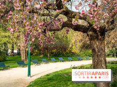 Visuel Paris arbres en fleurs, jardins, parc