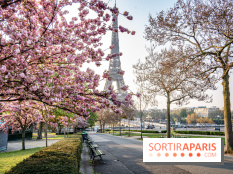 Visuel Paris Tour Eiffel cerisiers en fleurs