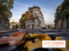 Visuel Paris - maison rose - automne