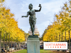 visuel Paris visuel  -  jardin du Luxembourg - automne
