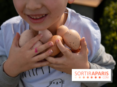 Chasse aux oeufs de Pâques sur le rooftop de la Tour Montparnasse : nos photos