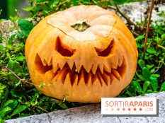 Halloween 2020 : comment creuser sa citrouille ? Le tuto