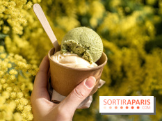 Photos : Wonderland Pâtisserie 