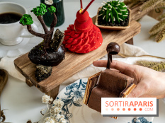 Photos : Wonderland Pâtisserie