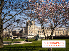 Cerisiers en fleurs à paris et aux alentours - Jardins des Tuileries - magnolias