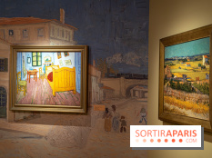 Le Château d'Auvers sur Oise  - A7C08742