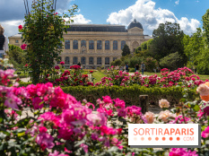 Photos La roseraie du Jardin des Plantes