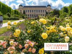 Photos La roseraie du Jardin des Plantes
