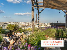 La terrasse en Rooftop du Brach, le bar perché dans un jardin potager