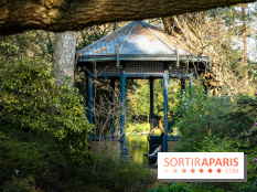 Arboretum de la Vallée-aux-Loups, une balade au milieu des arbres remarquables