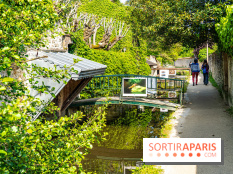 La promenade des petits ponts dans la vallée de Chevreuse -  A7C3889