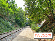 Balade sur la Petite Ceinture du 17e : la promenade Pereire