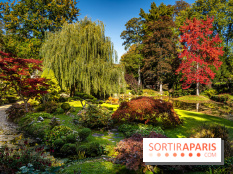 Le Jardin japonais du Château de Courances