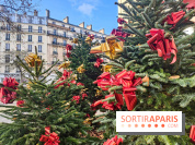 Noël Paris visuels - cadeau - sapin - Marché de Noël - cadeau de Noël - décoration - Mairie 11e