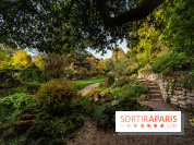 Le Jardin Alpin caché du Jardin des Plantes