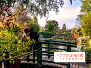 Saint-Valentin visuel saint Valentin - couple