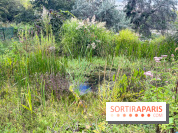 Le parc Georges Brassens, pour se croire à la campagne dans le 15e