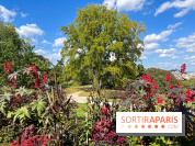 Parc de la butte du chapeau rouge