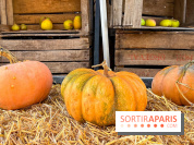 Automne au Potager du Roi - Citrouilles - Halloween