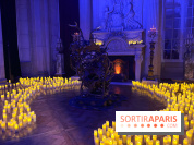 La Belle et la Bête, le spectacle au château de Maisons-Laffitte - nos photos - image00039