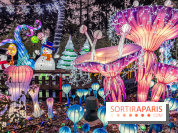 Noël au Parc Astérix 2023, sentier de lumières et patinoire - IMG 4996