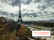 Visuel Paris 16e - Tour Eiffel automne