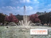 Les magnolias du Jardin du Palais Royal  - printemps - visuel Paris - fontaine - chaleur - beau temps
