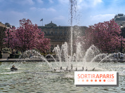 Les magnolias du Jardin du Palais Royal  - printemps - visuel Paris - fontaine - chaleur - beau temps