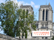 Une croisière privée en amoureux sur la Seine - DSC 2252