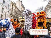 Défilé du Nouvel an Lunaire - Chinois 2025 Paris 13e - les photos - A7C1606