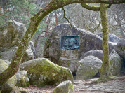 Planifiez dès maintenant vos week-ends et séjours de 2026 au Pays de Fontainebleau ! 