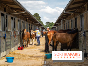 Le Grand Parquet Fontainebleau - photos  - A7C02567