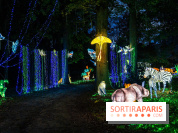 Thoiry Lumières Sauvages 2025 : le Bal des Esprits - A7C09500