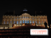 Le Grand Noël 2025 du château de Vaux-le-Vicomte : des décorations magiques pour une balade hivernale mémorable - fotor 1763143210379