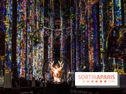 L'Odyssée Céleste à l'église Saint-Eustache à Paris, le nouveau spectacle Luminiscence 