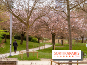 Les cerisiers du parc Martin Luther King - Clichy - Batignoles