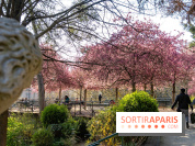 Les pommiers et cerisiers en fleurs du Jardin de Reuilly, Parc de Reuilly à Paris 12e - photos  - A7C09294