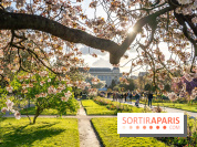 Les floraisons exceptionnelles du Jardin des Plantes 2026 : tulipes, coquelicots et cerisiers - photos - A7C00582