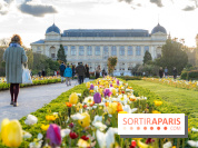 Les floraisons exceptionnelles du Jardin des Plantes 2026 : tulipes, coquelicots et cerisiers - photos