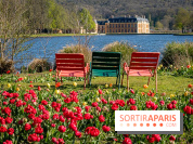 Les tulipes du Château de Dampierre, son jardin anglais et le jardin Le Nôtre - IMG 2853