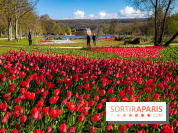 Les tulipes du Château de Dampierre, son jardin anglais et le jardin Le Nôtre