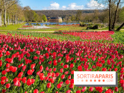 Les tulipes du Château de Dampierre, son jardin anglais et le jardin Le Nôtre