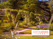Le Parc des Ibis au Vésinet dans les Yvelines en Région Parisienne - photos  - A7200695 2