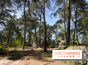 Escalade en Forêt de Fontainebleau - nos photos