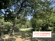 Le parc de la Cité Universitaire, espace vert unique au monde - nos photos