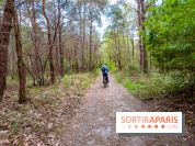 Liaisons douces à Fontainebleau : la forêt à vélo, les photos